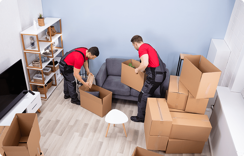 Movers in Dubai South